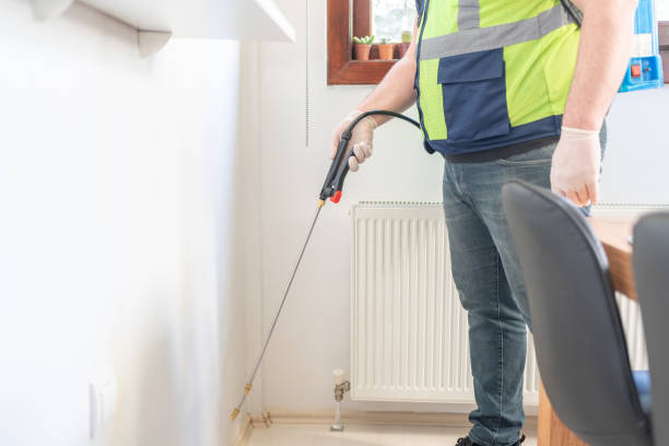 Trusted Prairie View, TX Pest Control Experts