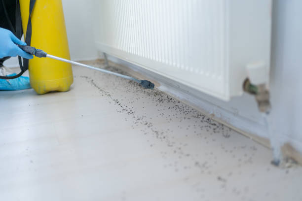 Best Best Pest Control Companies  in Prairie View, TX